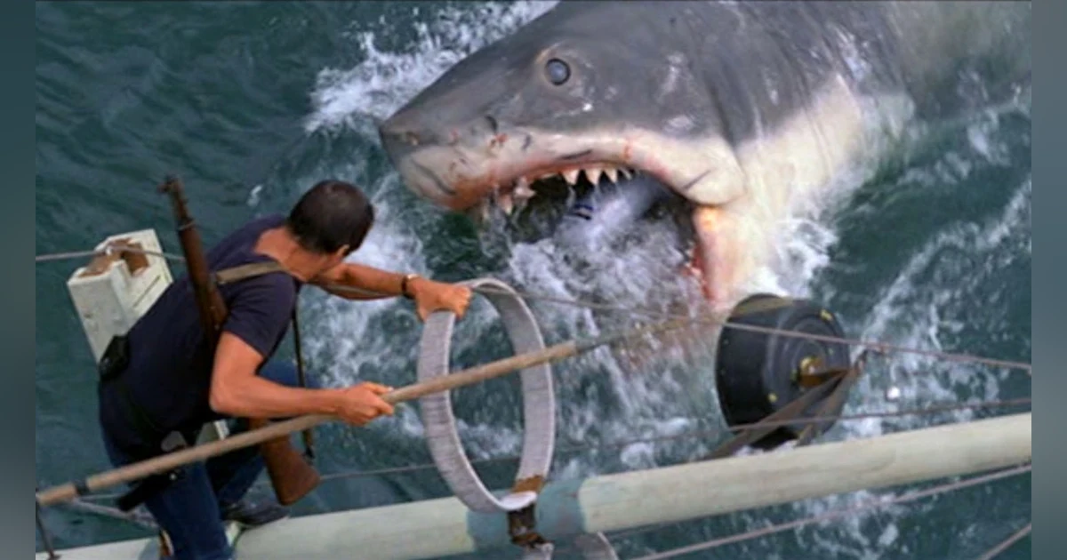 Jay Movie Talk Ep.125 Jaws