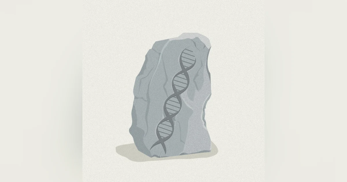 Why Evolution Is True: Why should we believe Darwin’s theory of evolution? The battle of evolution and God