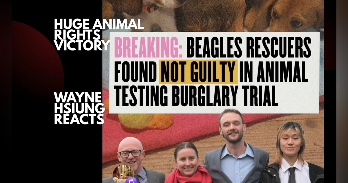 Puppy Justice Wins! -- Beagle Rescuers NOT GUILTY