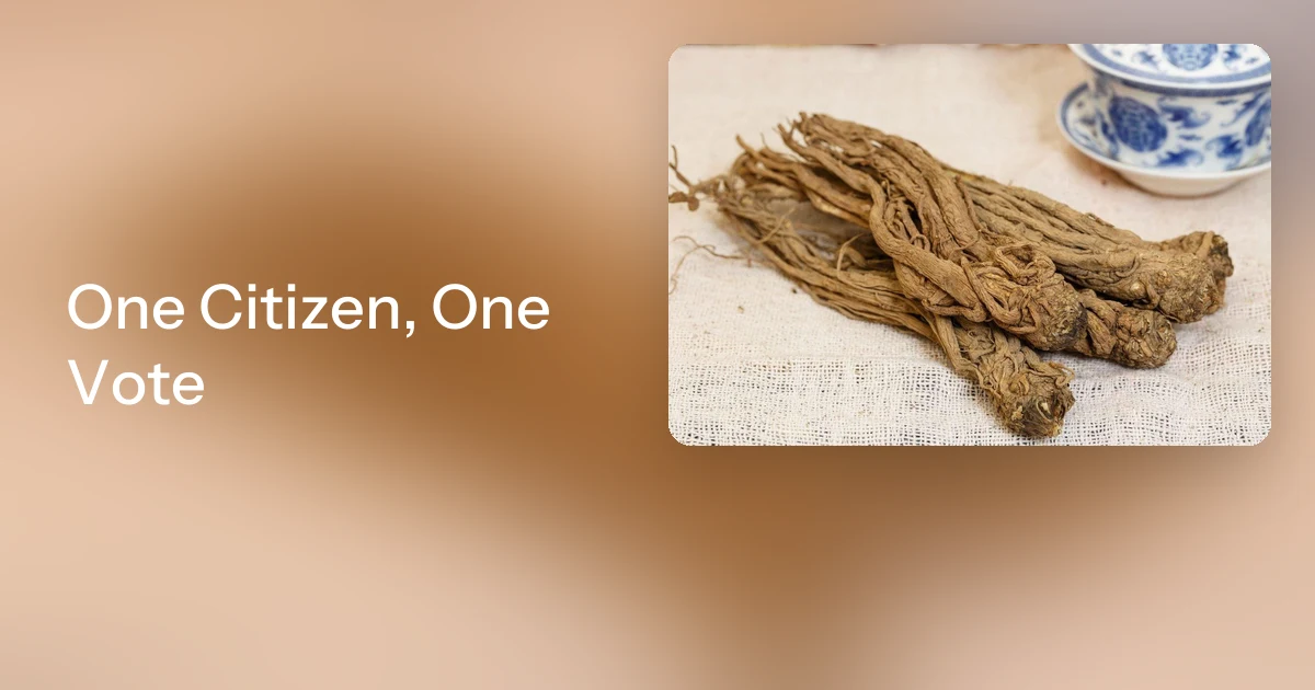 One Citizen, One Vote