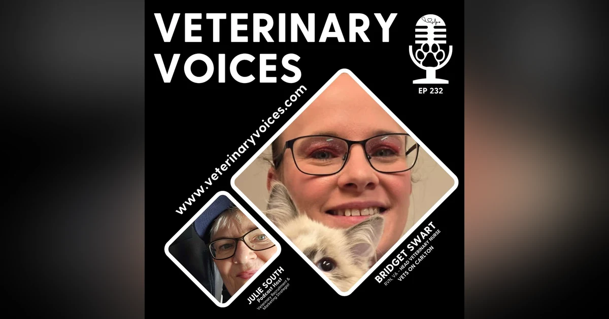 Employer of Choice Spotlight: A Chat with Head Vet Nurse - Bridget Swart - Vets on Carlton - ep 223
