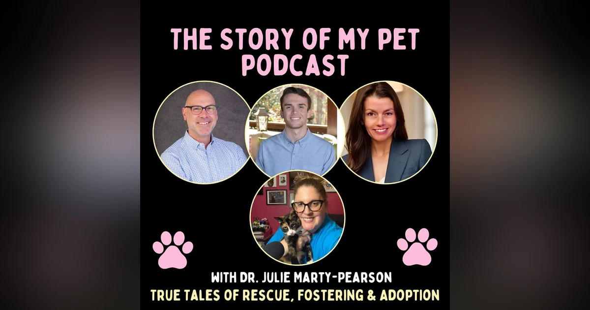 Animal Shelter Change Makers: Inside the Mission to Improve Shelters with Pawsitive Change