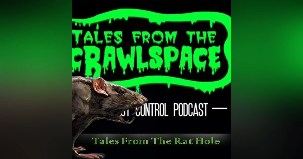 Tales from the Rat Hole
