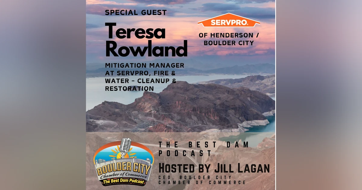 Meet SERVPRO - Residential and Commercial Restoration and Cleaning Services
