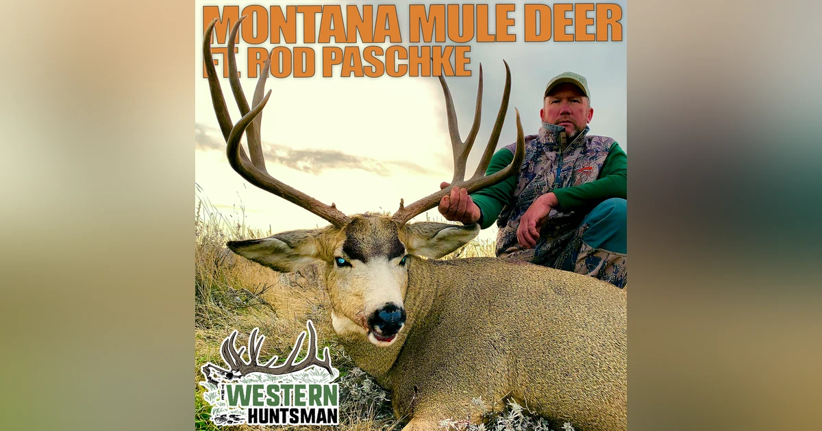 230. Montana Mule Deer with Rod Paschke