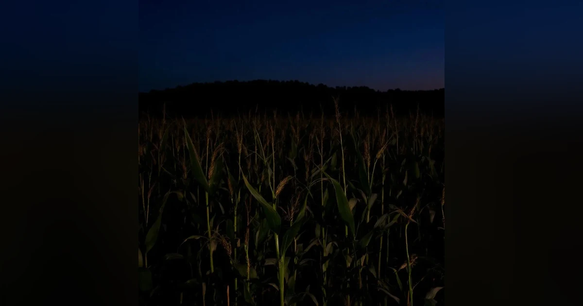 Horror Short Story: PREDICTING THE UNKNOWN