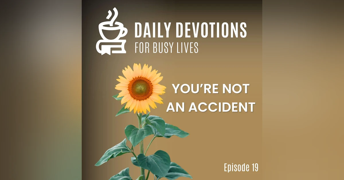 You're Not an Accident