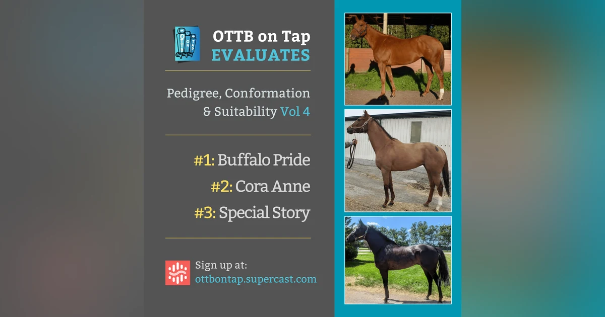 Sneak Peek: OTTB on Tap Evaluates Vol. 4: From Lightly Raced to Warhorses—Exploring Pedigree & Potential