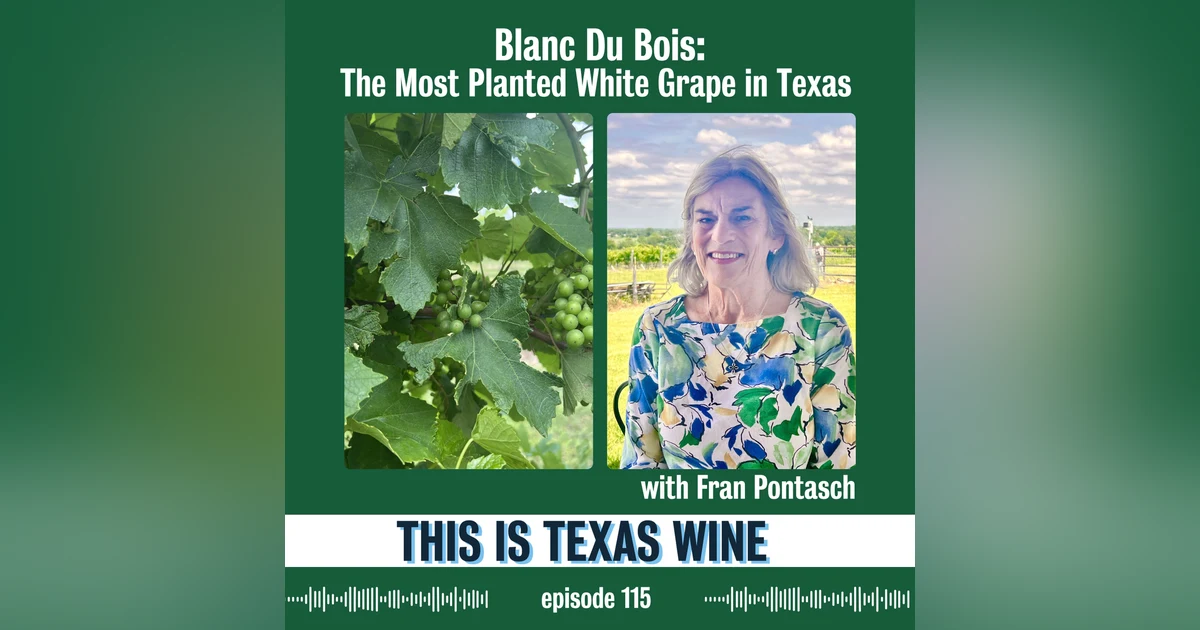 Blanc Du Bois: The Most Planted White Grape Variety in Texas with Fran Pontasch