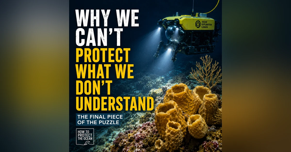 What We Don’t Know About the Ocean Could Cost Us Everything