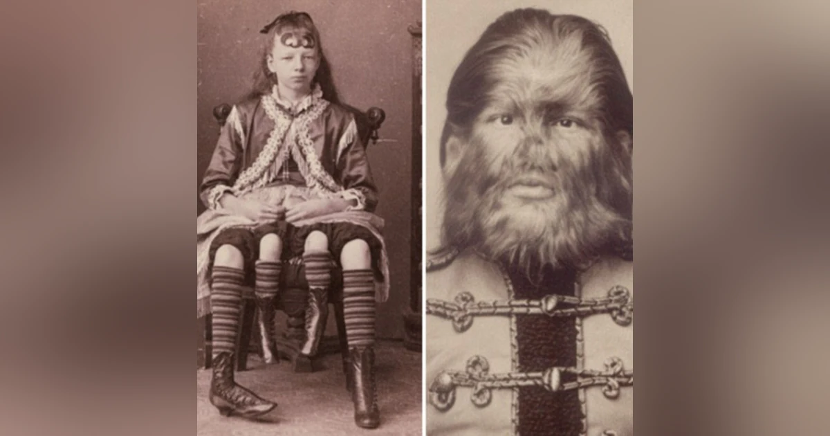 S6: History of American Freaks