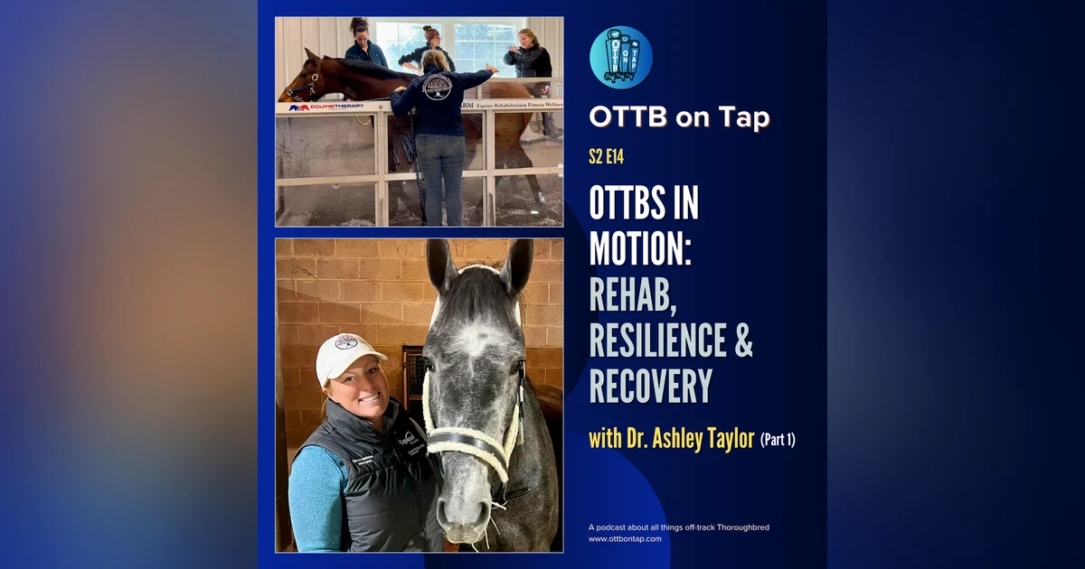 S2 E14: OTTBs in Motion: Rehab, Resilience & Recovery with Dr. Ashley Taylor (Part 1)
