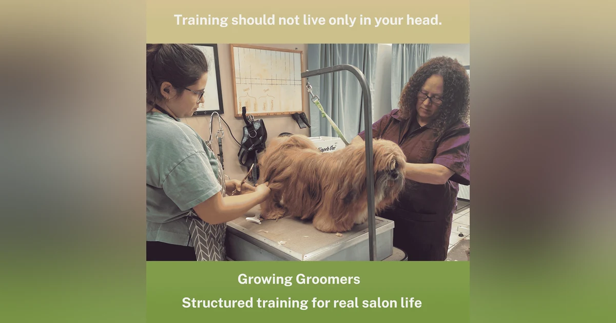 Meet Jennifer: The Training and Team Perspective
