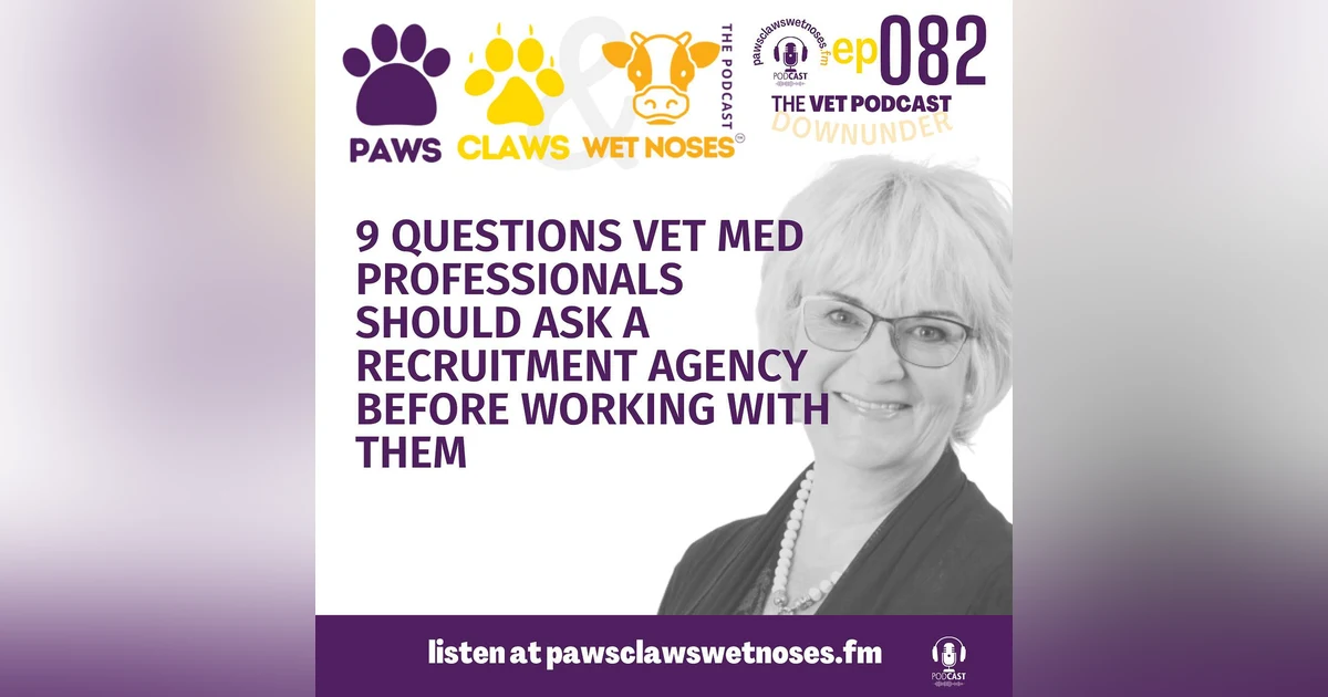 9 questions vet med professionals should ask a recruitment agency before working with them