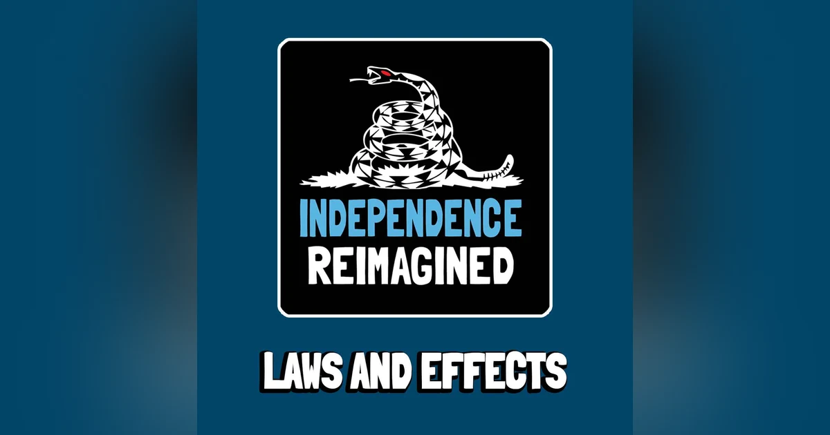 Laws and Effects - Independence Reimagined Chapter 13 | Bitcoin Infinity Academy #28