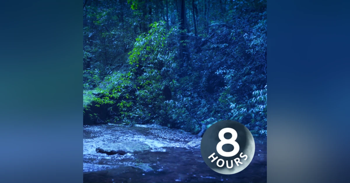 Sleep Soundly with Nighttime River Ambience | Relaxing Water White Noise 8 Hours