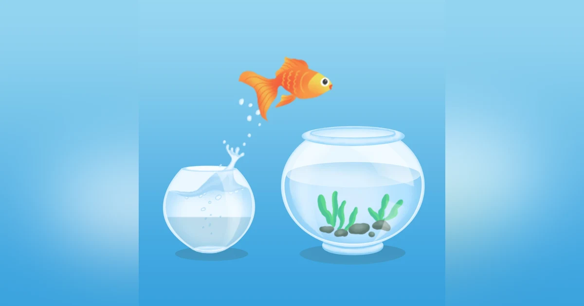 Working Identity: Unconventional Strategies for Reinventing Your Career, by Herminia Ibarra