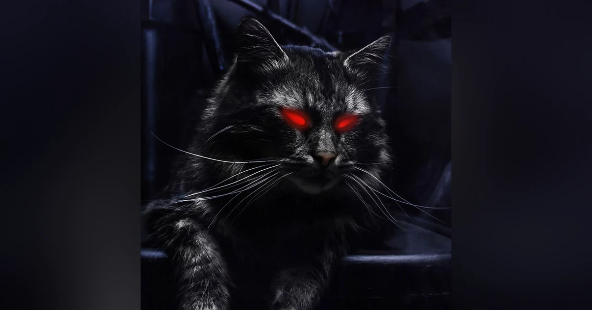 Cat’s Out of the Bag: Creepy Horror Story with a Brutal Family Secret