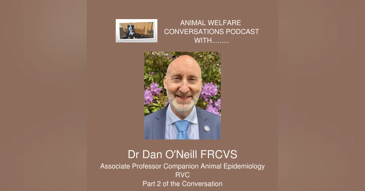 Dr Dan O'Neill - What makes a good life - part 2