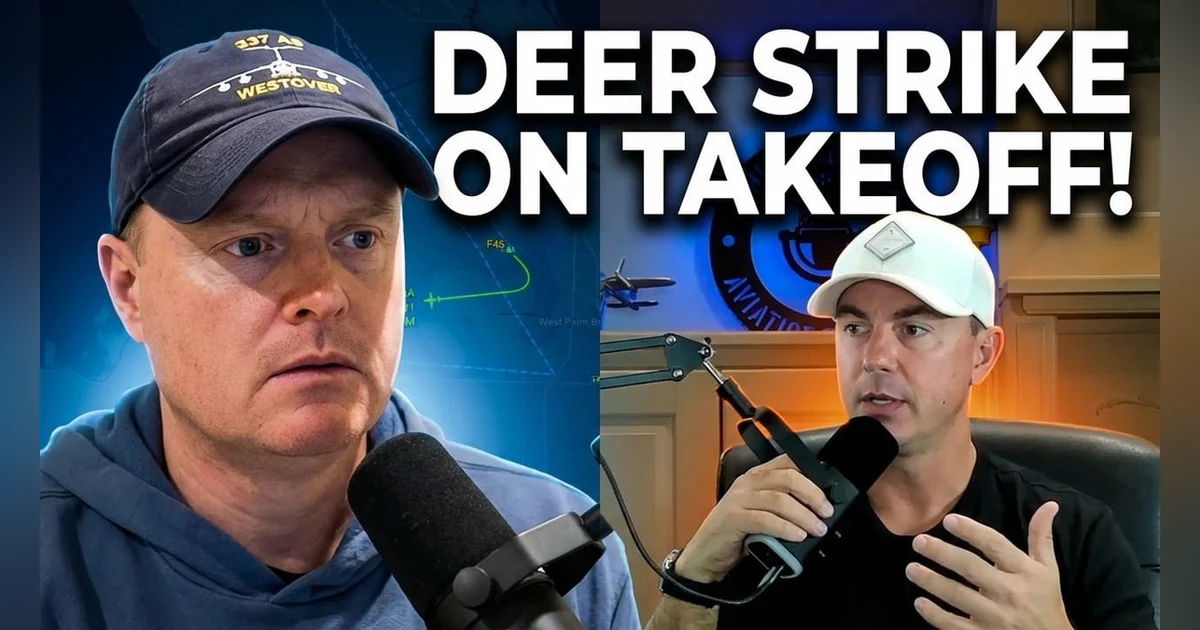 ExecJet 901: Citation Latitude vs. 4 Deer (ATC Breakdown)