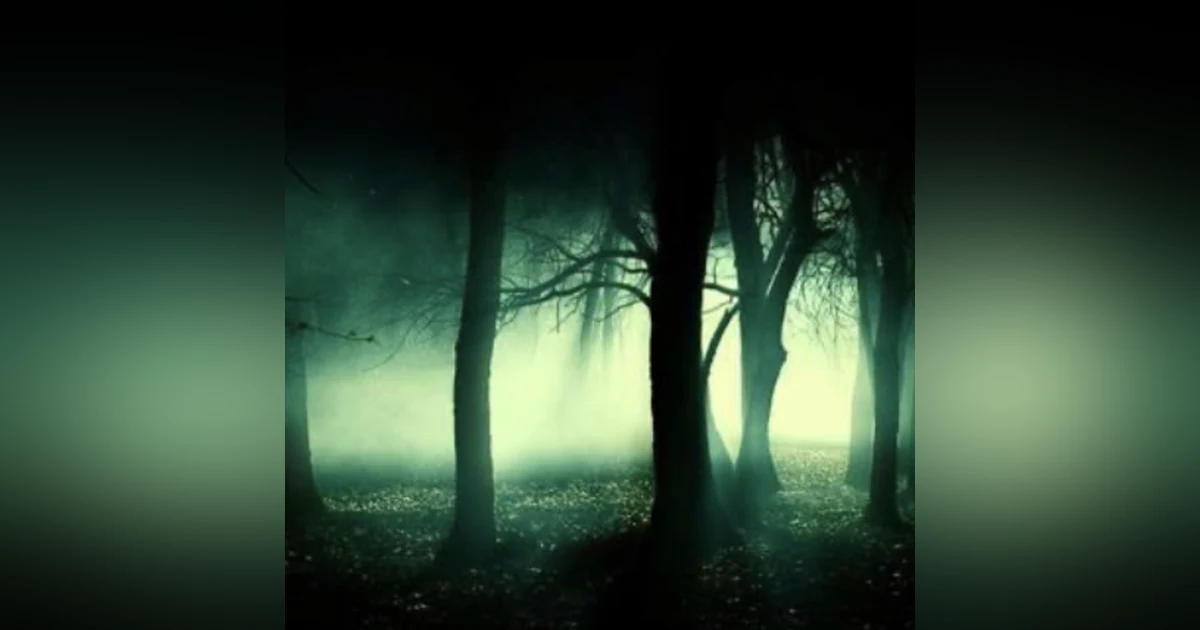 Beyond the Dark Paranormal with Don and Kelly Johnson