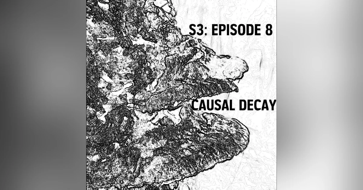 S3: E08 - Causal Decay