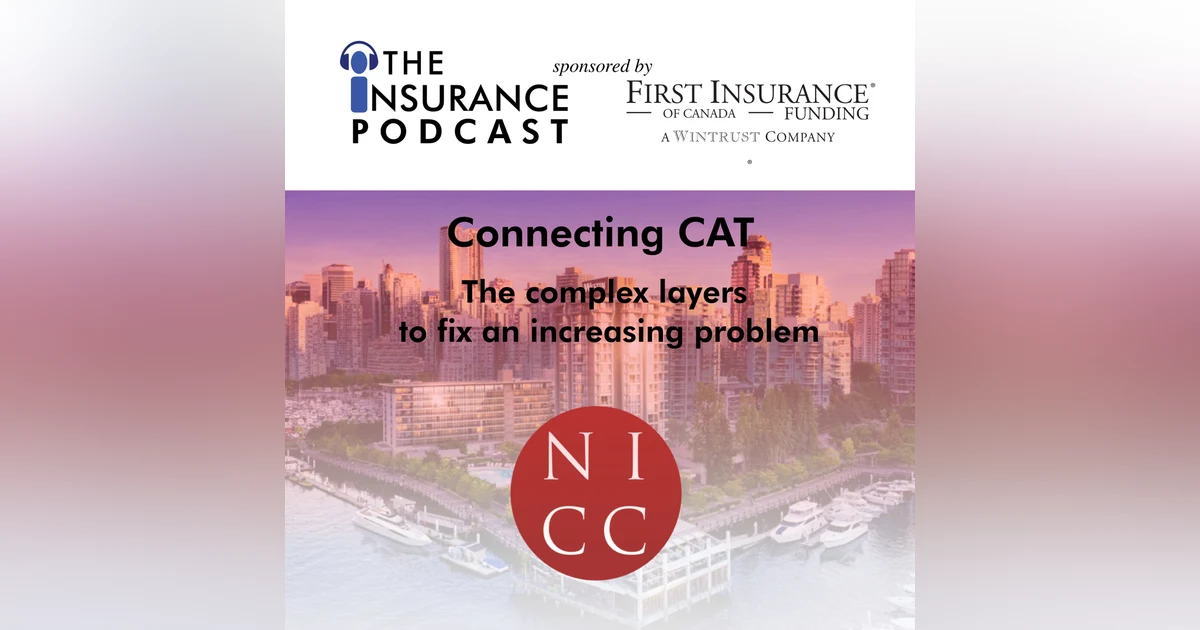 Connecting CAT:  Perspectives from leaders at NICC