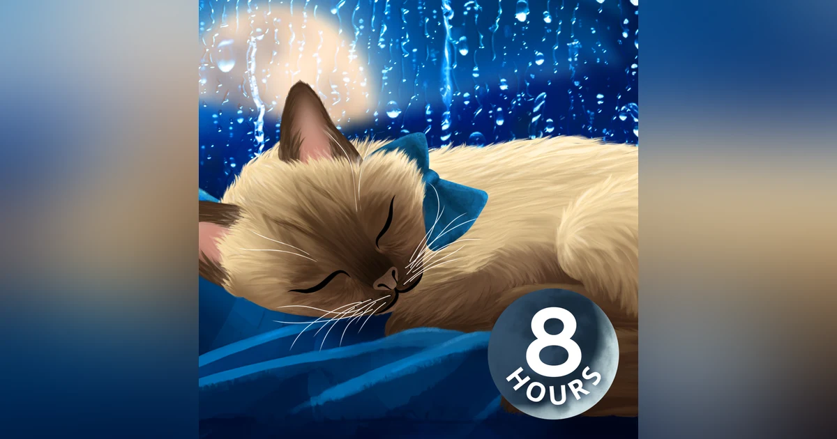 Relaxing Rain Outside Your Window | 8 Hour Rain Sounds to Sleep/Study To