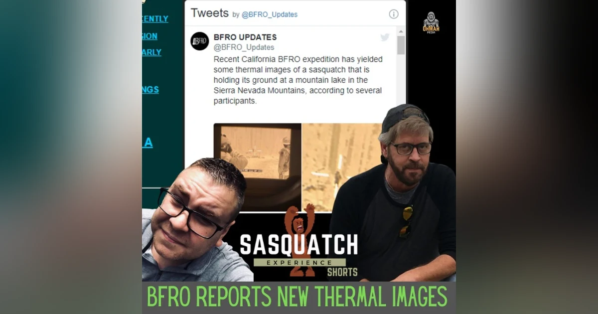 Sasquatch Experience Shorts # 1: BFRO Reports New Thermal Images