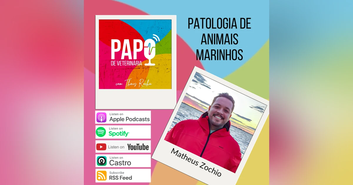Quem descobre do que o animal marinho encalhado morreu?