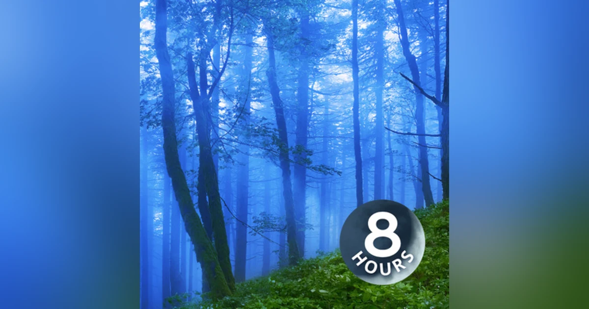 Rain Sounds for Sleeping 8 Hours I Fall Asleep to Rainstorm White Noise
