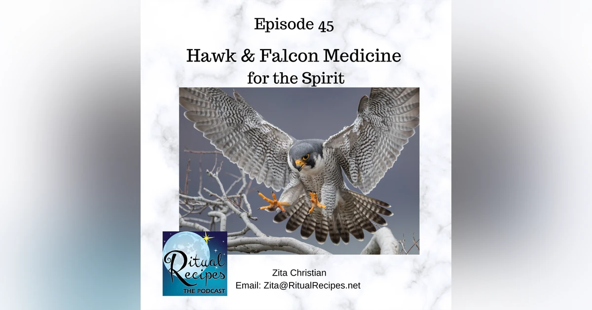 Spiritual Medicine of the Hawk and Falcon