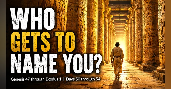 image for Who Gets to Name YOU?