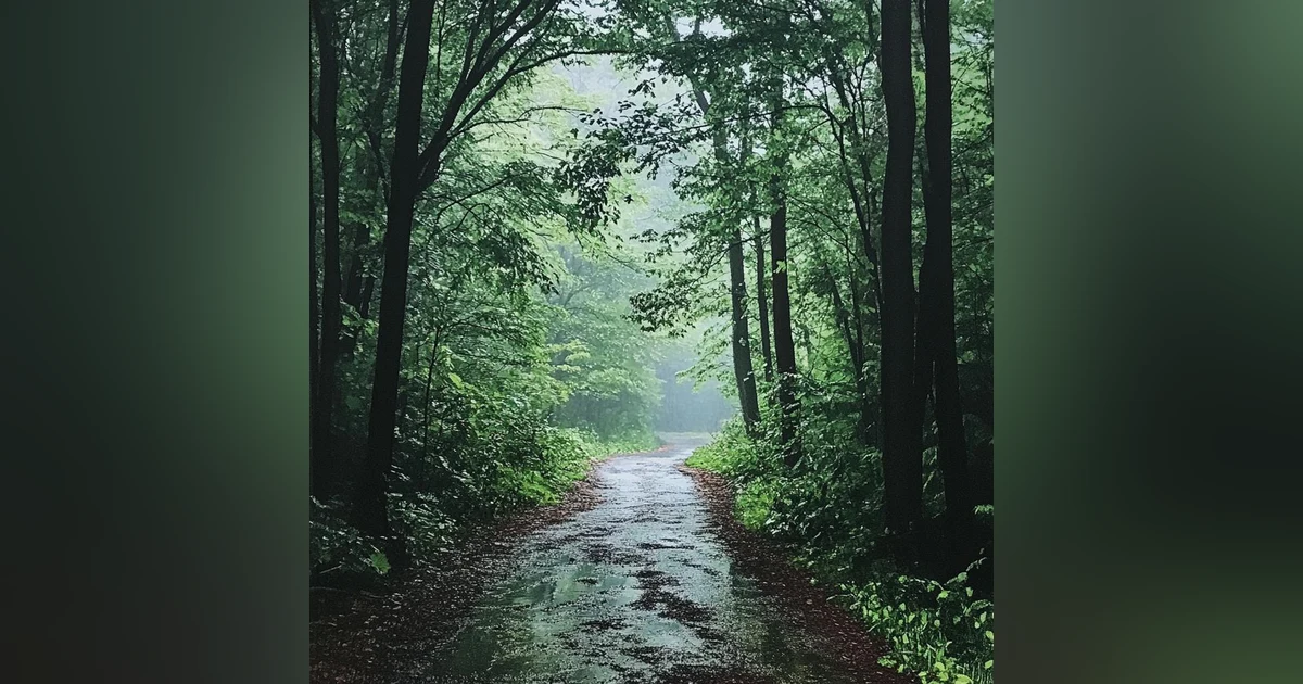 Listen To The Rain On The Forest Path, Relax, Reduce Anxiety, And Sleep Deeply