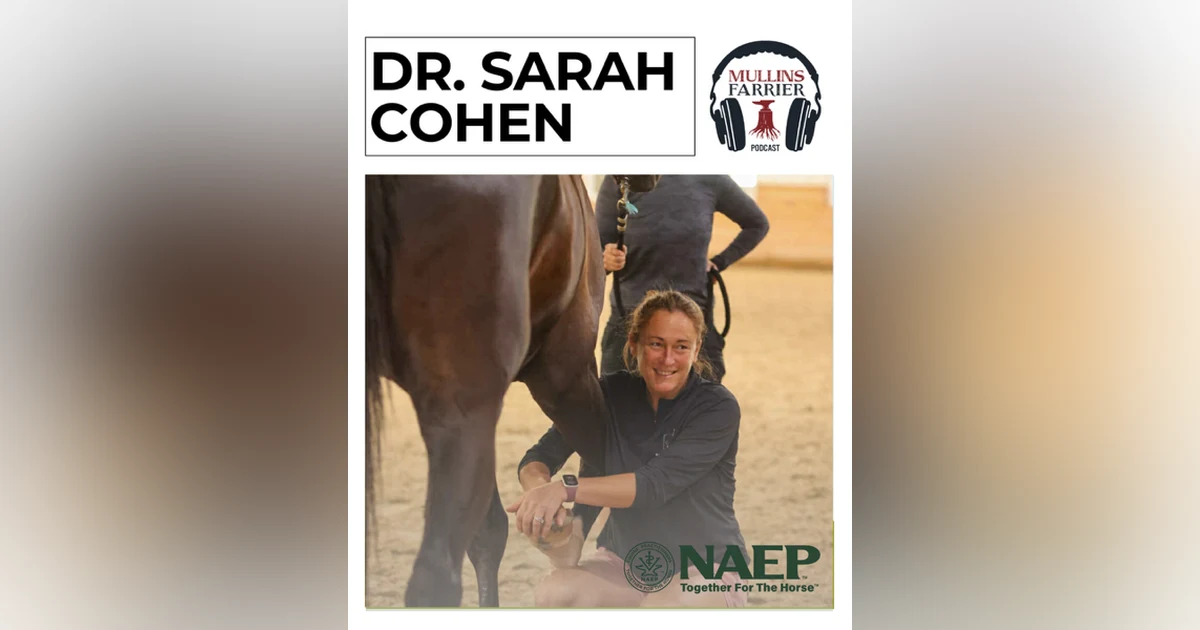 Dr. Sarah Cohen Re-Release