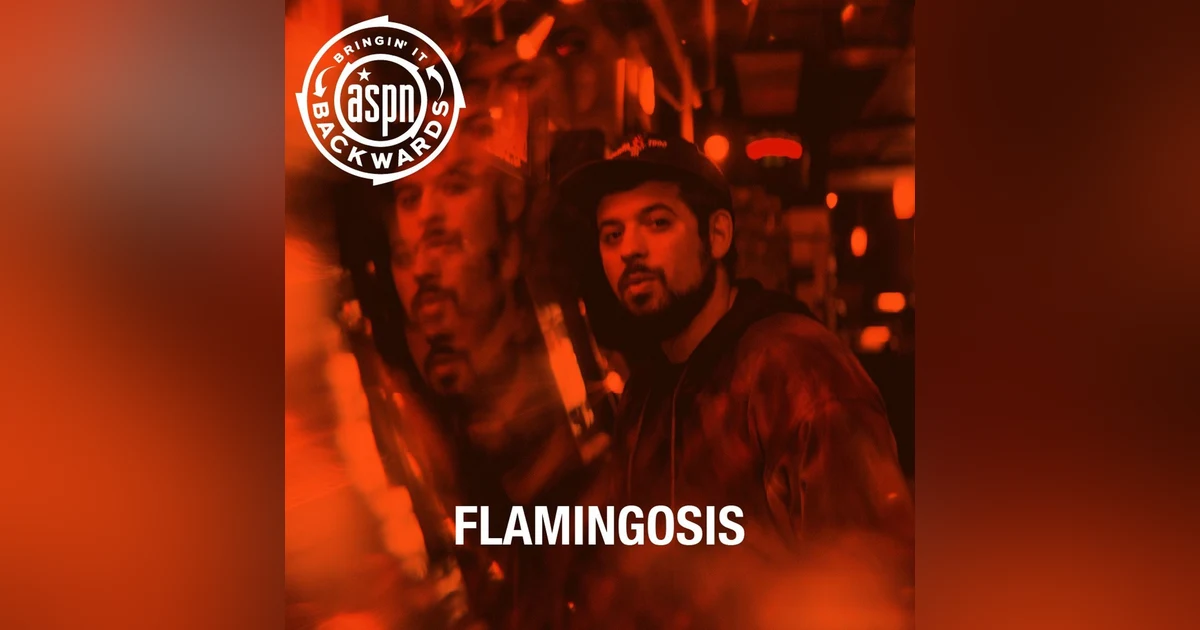 Interview with Flamingosis