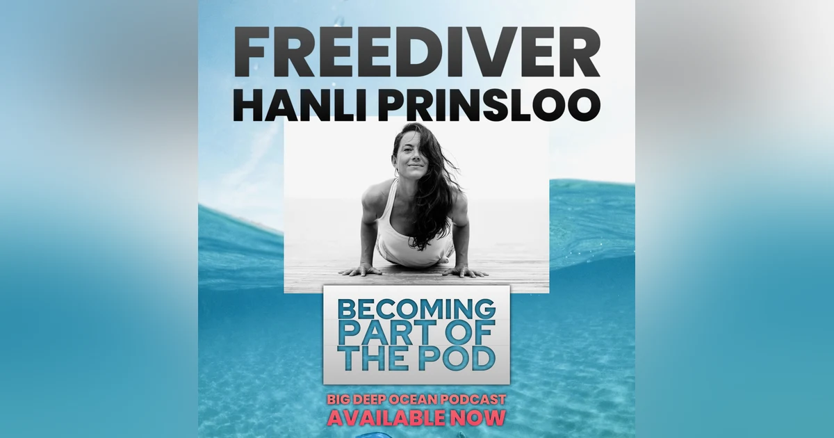 Becoming Part of the Pod: Hanli Prinsloo and how freediving connects her with marine wildlife