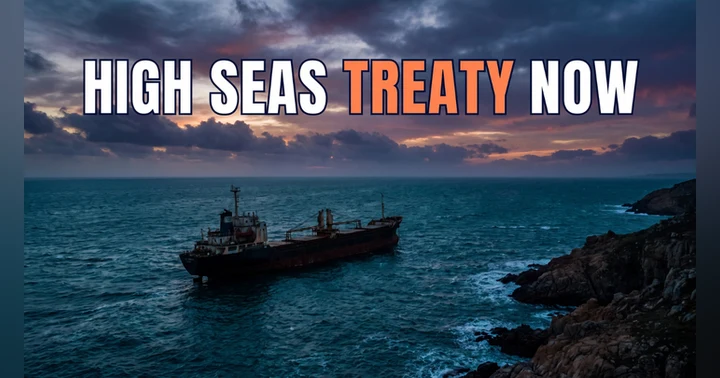 image for The High Seas Treaty Is Law Now. Here's How We Got Here.