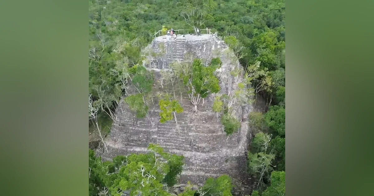 How I Survived a Wedding in a Jungle That Tried to Eat Me Alive