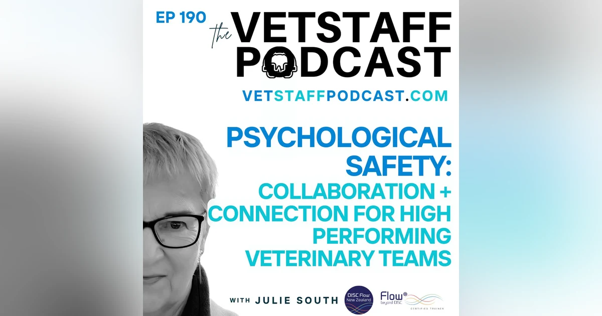 Cracking the Code to Team Success: Psychological Safety, Collaboration, and Connection