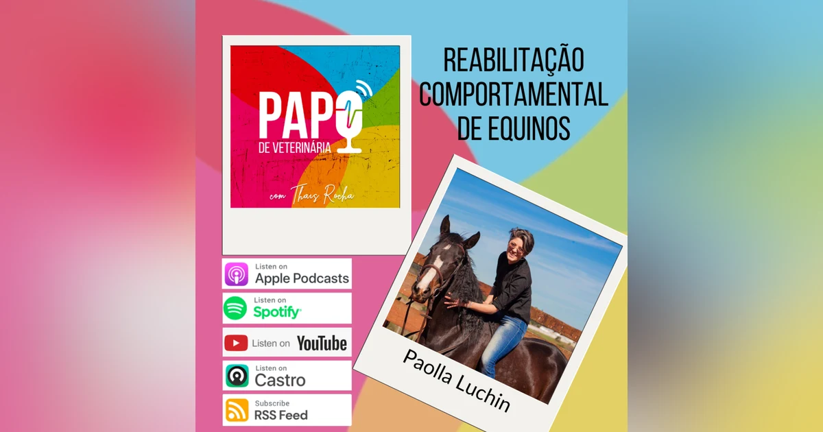 Reabilitação comportamental de cavalos, com Paolla Luchin