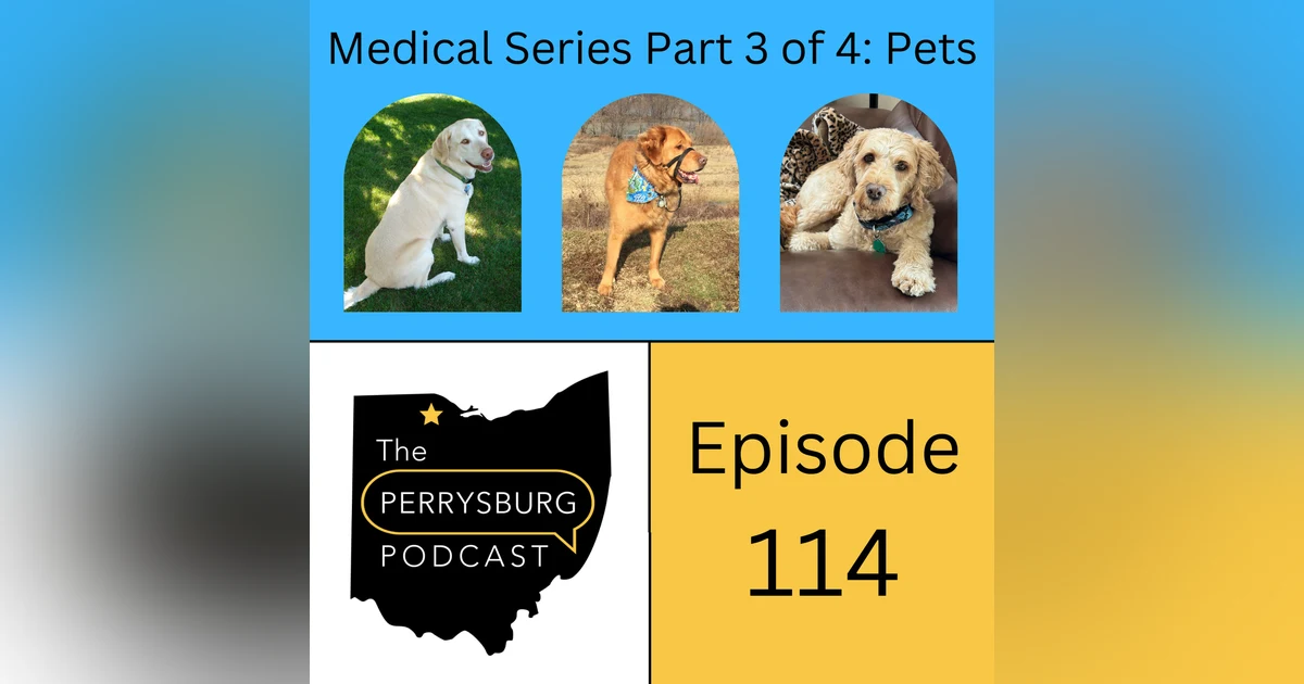 How to be a pet owner in Perrysburg (Medical Series Part 3 of 4)