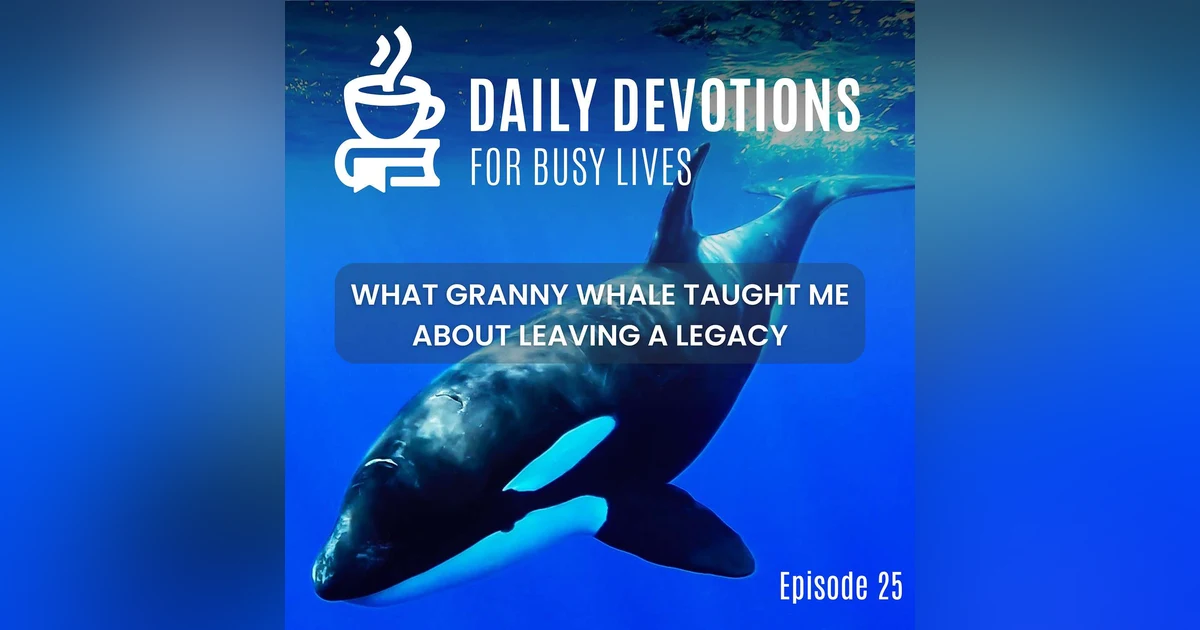 What Granny Whale Taught Me About Leaving a Legacy