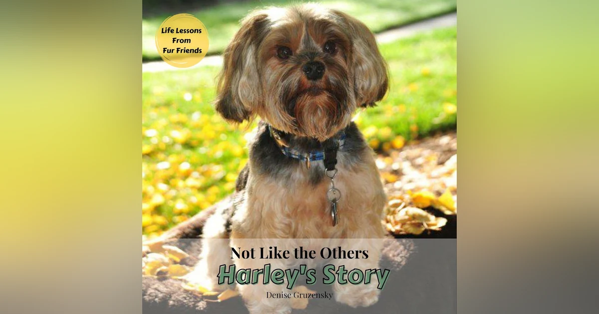 Episode 67. Unconditional Love: Rescues and Adopting Children from Difficult Places