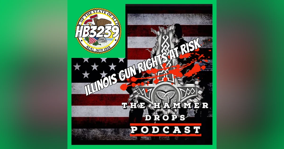 Illinois Gun Rights at Risk