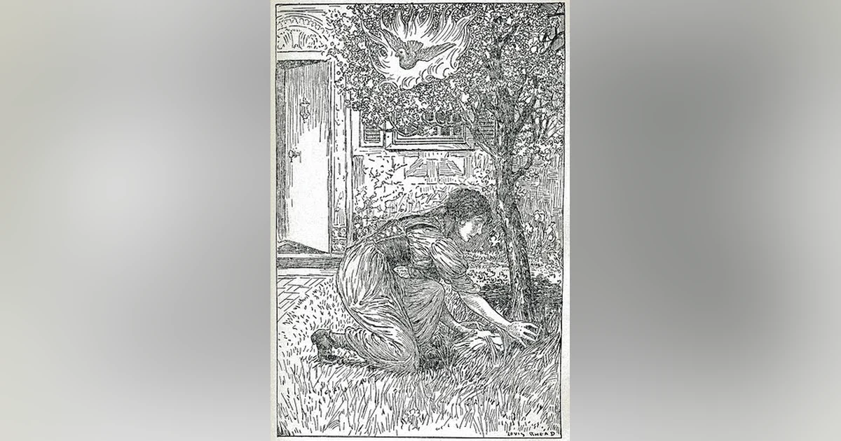 The Juniper Tree