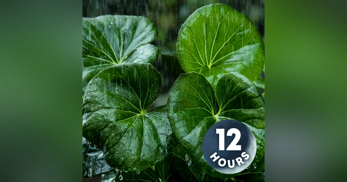 Need Tinnitus Relief? Try This Powerful Thunderstorm Sound | 12 Hours