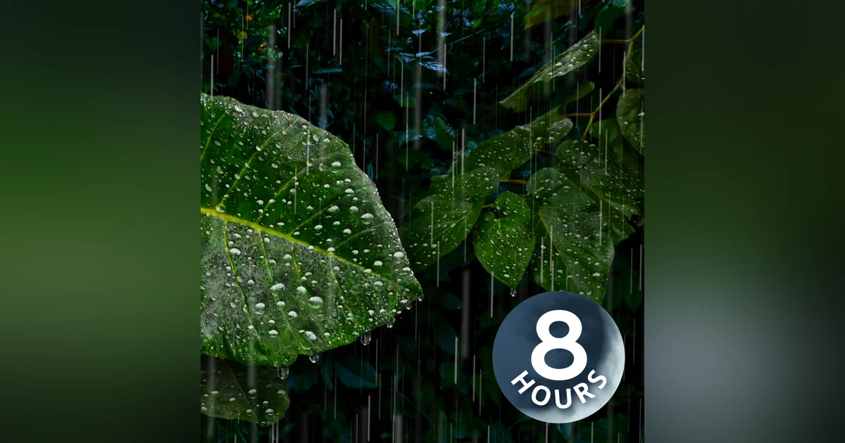Heavy Rain Sounds Deep in the Rainforest | 8 Hour Rain White Noise for Deep Sleep