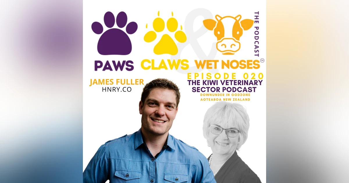 020 - Hnry App | James Fuller | accounting service especially for self-employed locums | contractors