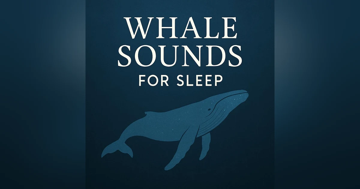 Whale Sounds for Sleep